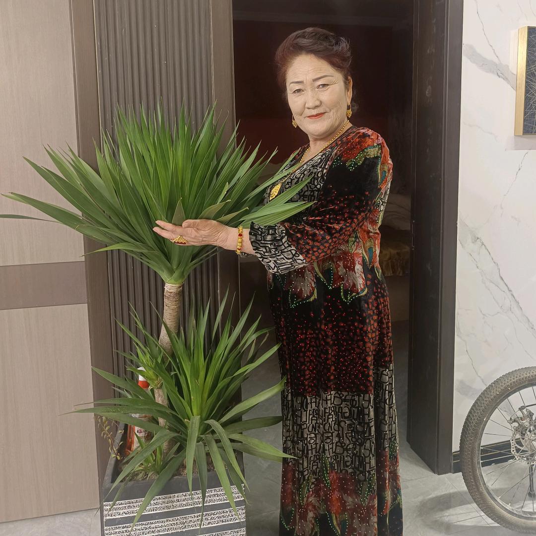 阿依夏木