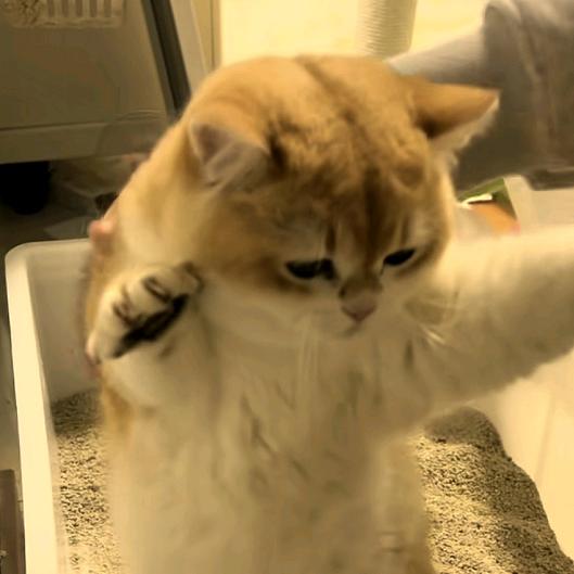 至死不渝的伊森