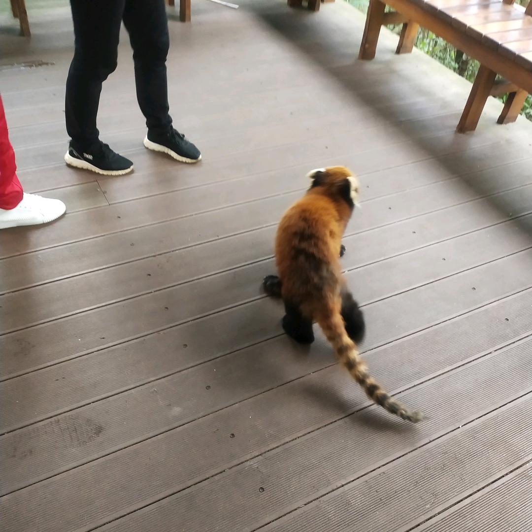 用户123456