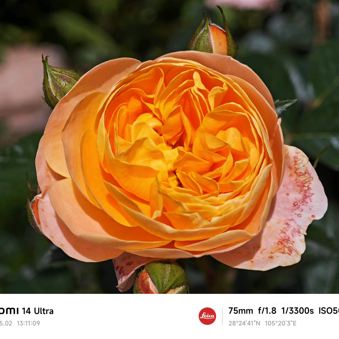 阿杰想努力多说话