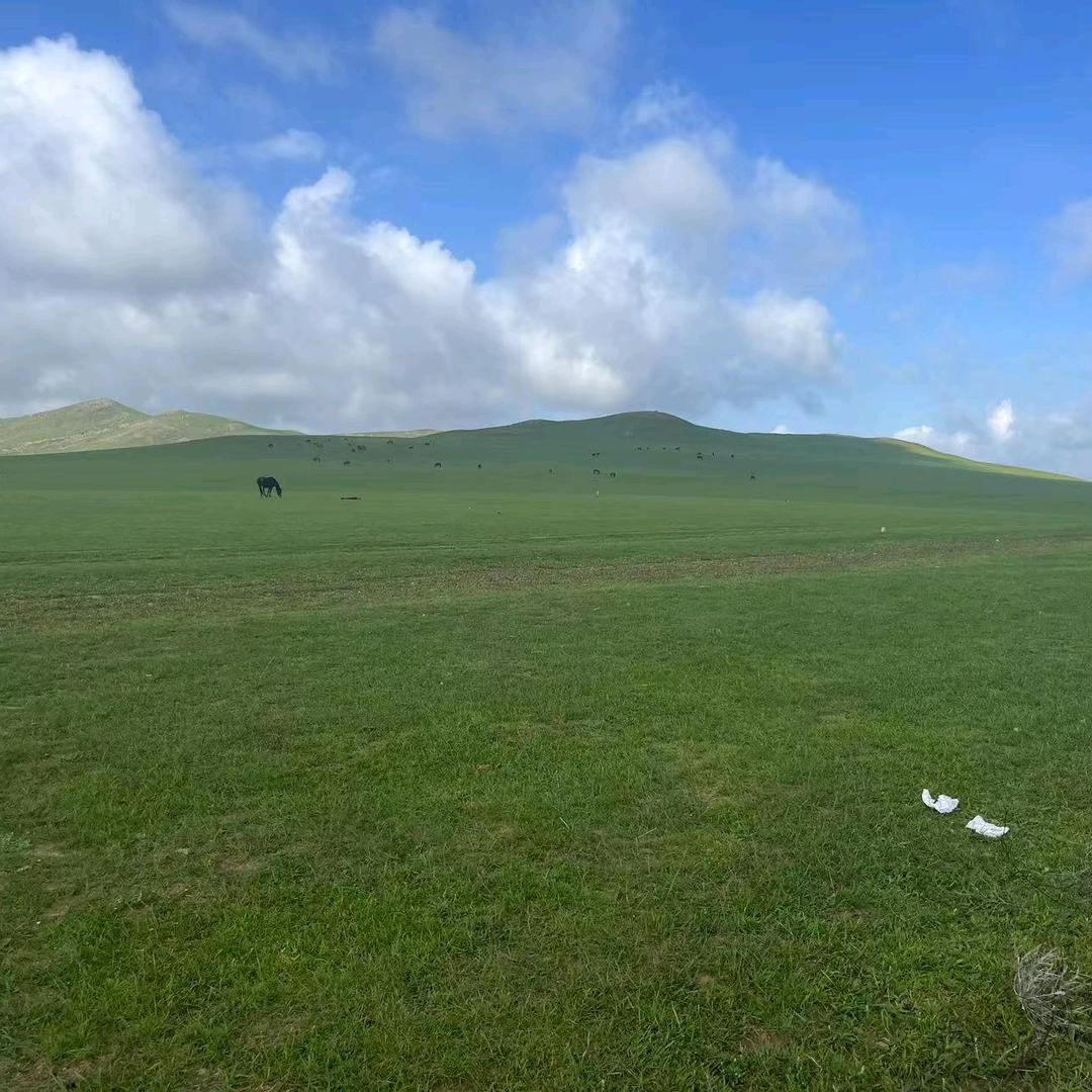 没事儿就想玩儿