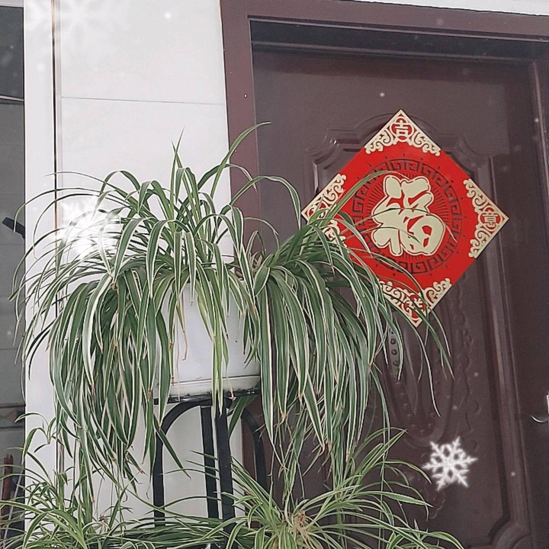 亲子检定-冷老师