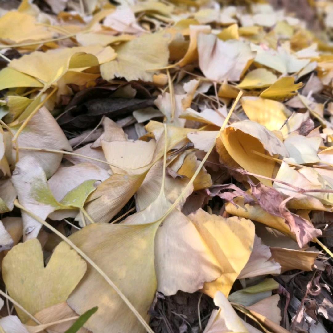 @এۣۖิ零᭄ᩚ꯭ᩚ度💞