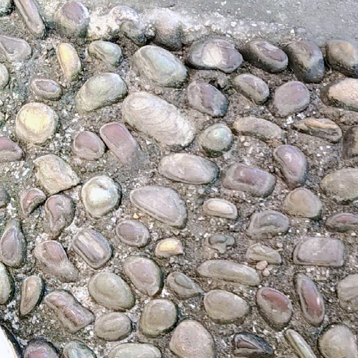 一帆风顺