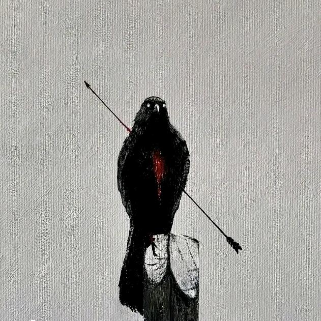 欭惗