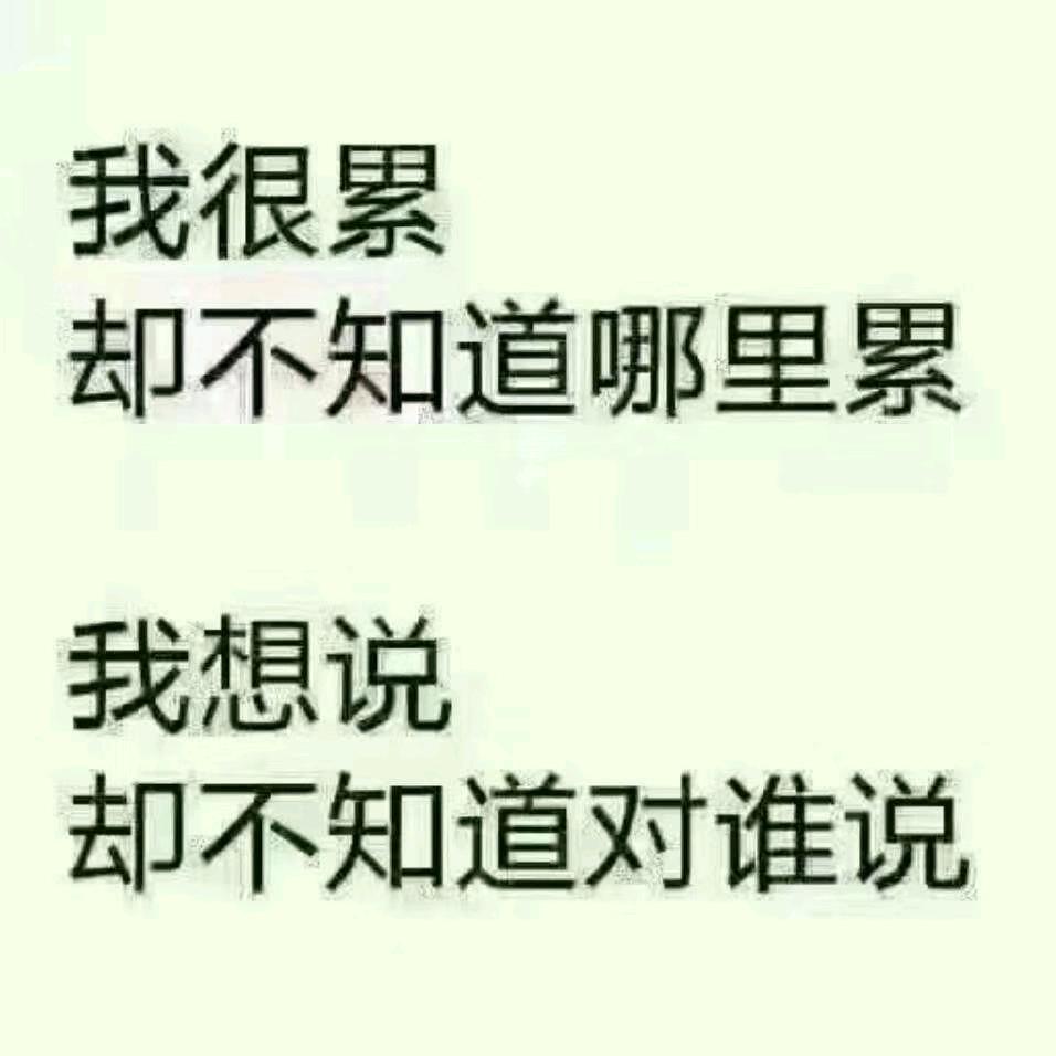 小(ㆁωㆁ)张