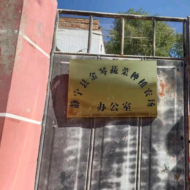 静宁金琴种植农场