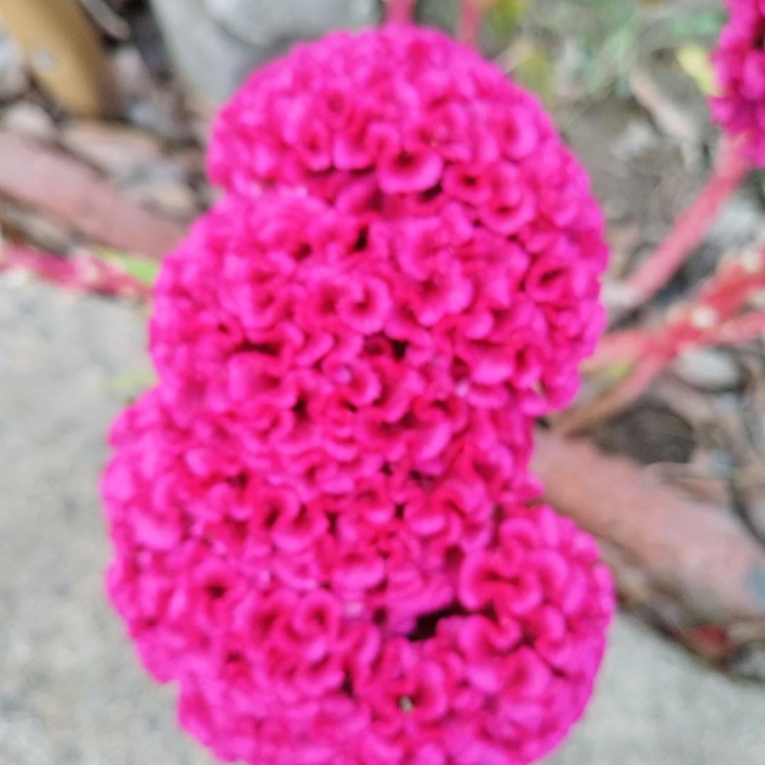 不开心就笑一笑