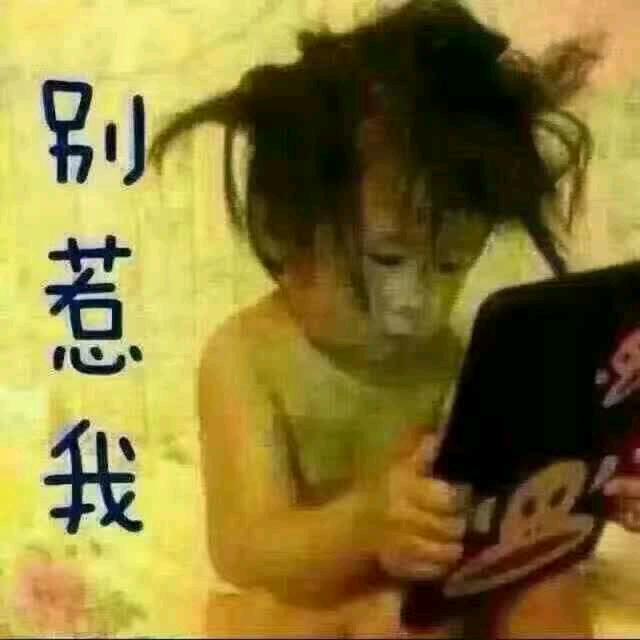 如你所愿