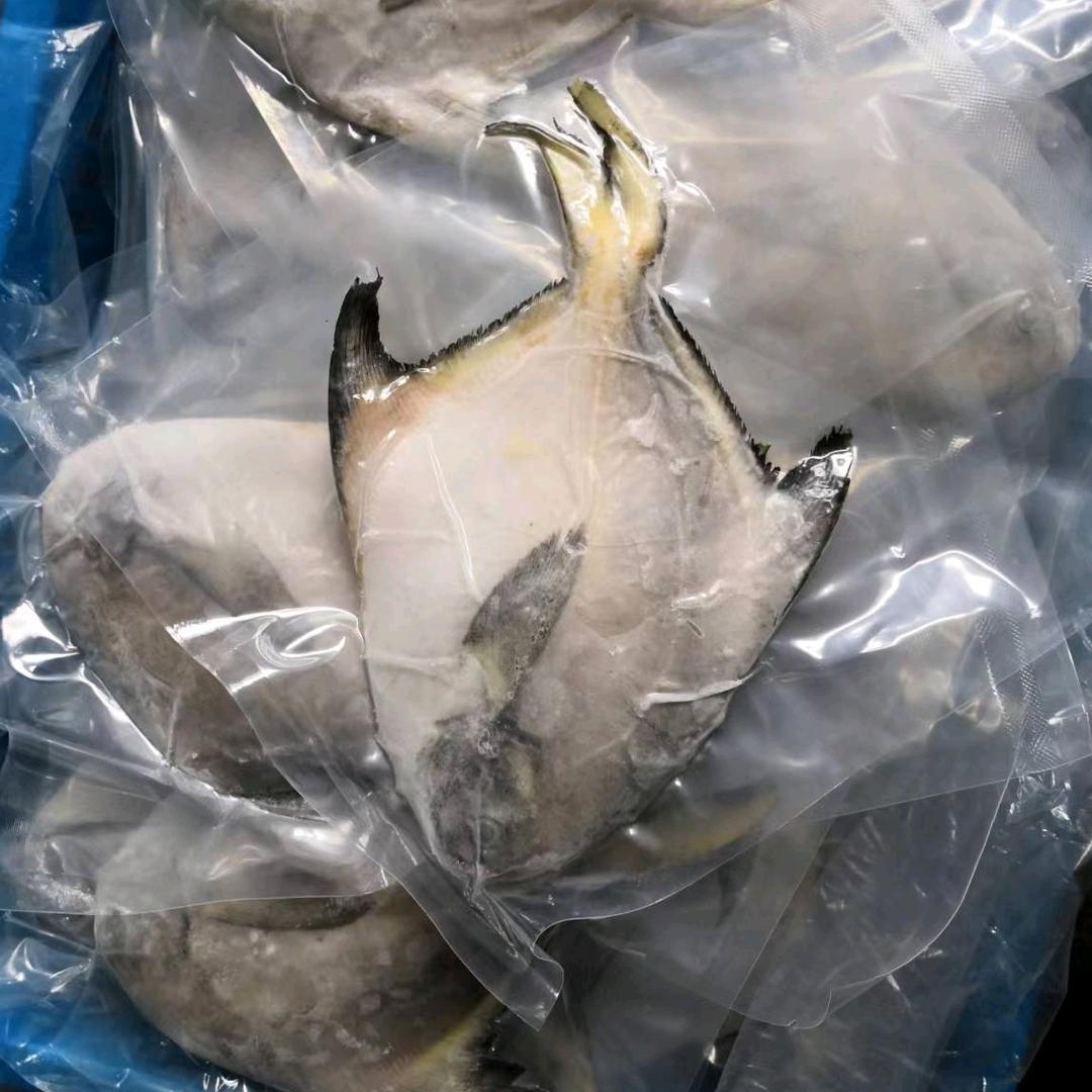 鱼劲丰🇴鱼蛋白肥料