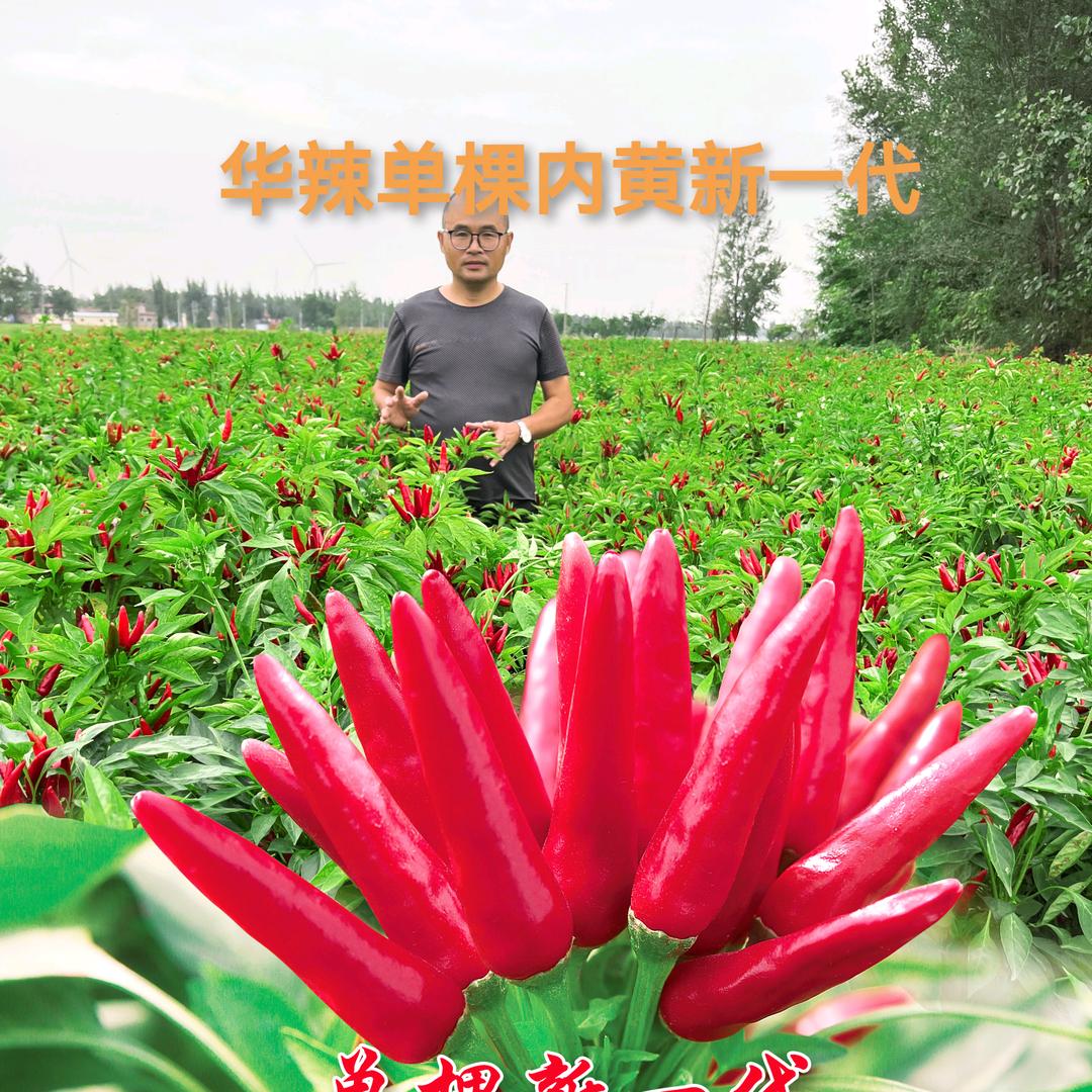 沐生农业（技术拖管+回收）