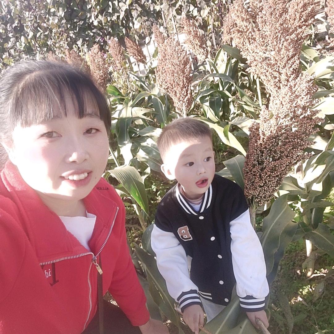 别谈如果
