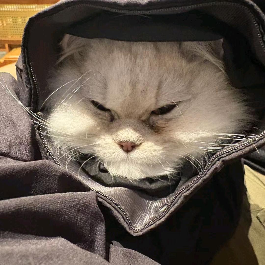 照旧
