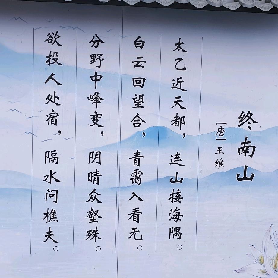 hi 珍珍