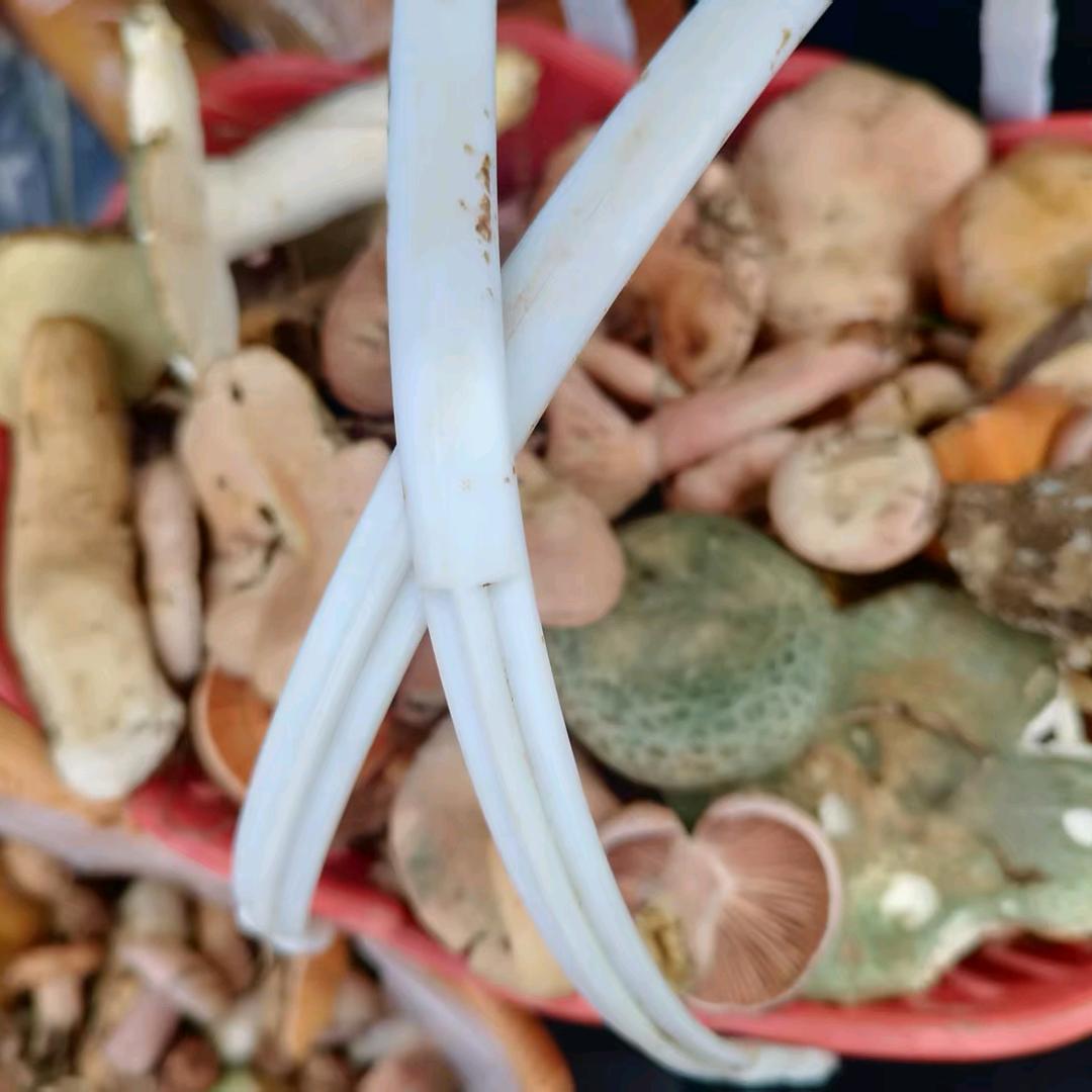 云南会泽原乡农味