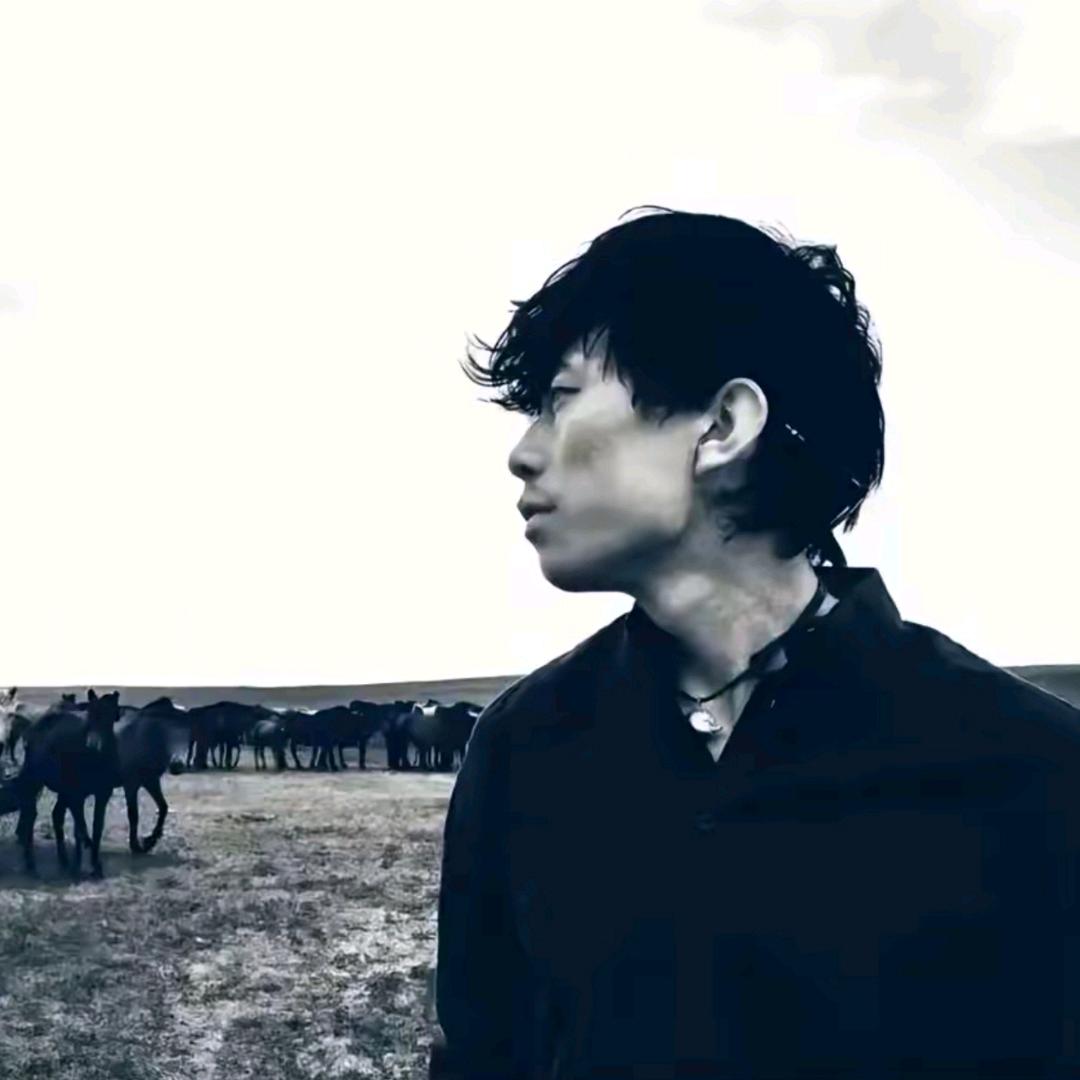 赵相机🌰