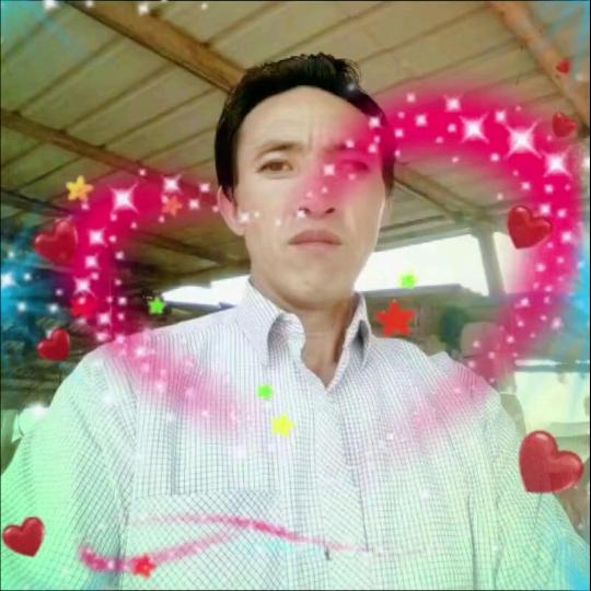 陆哥