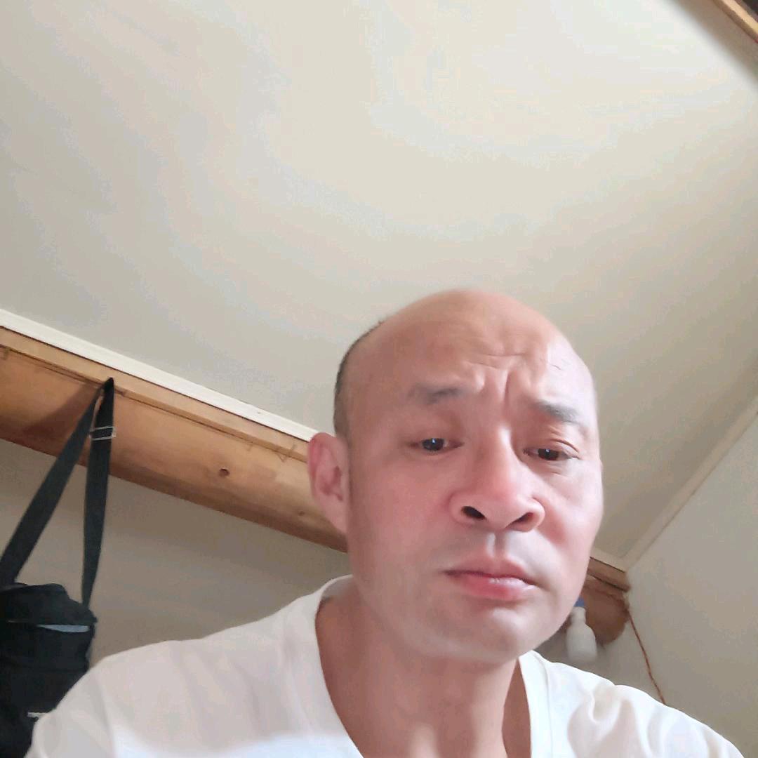 真心想你
