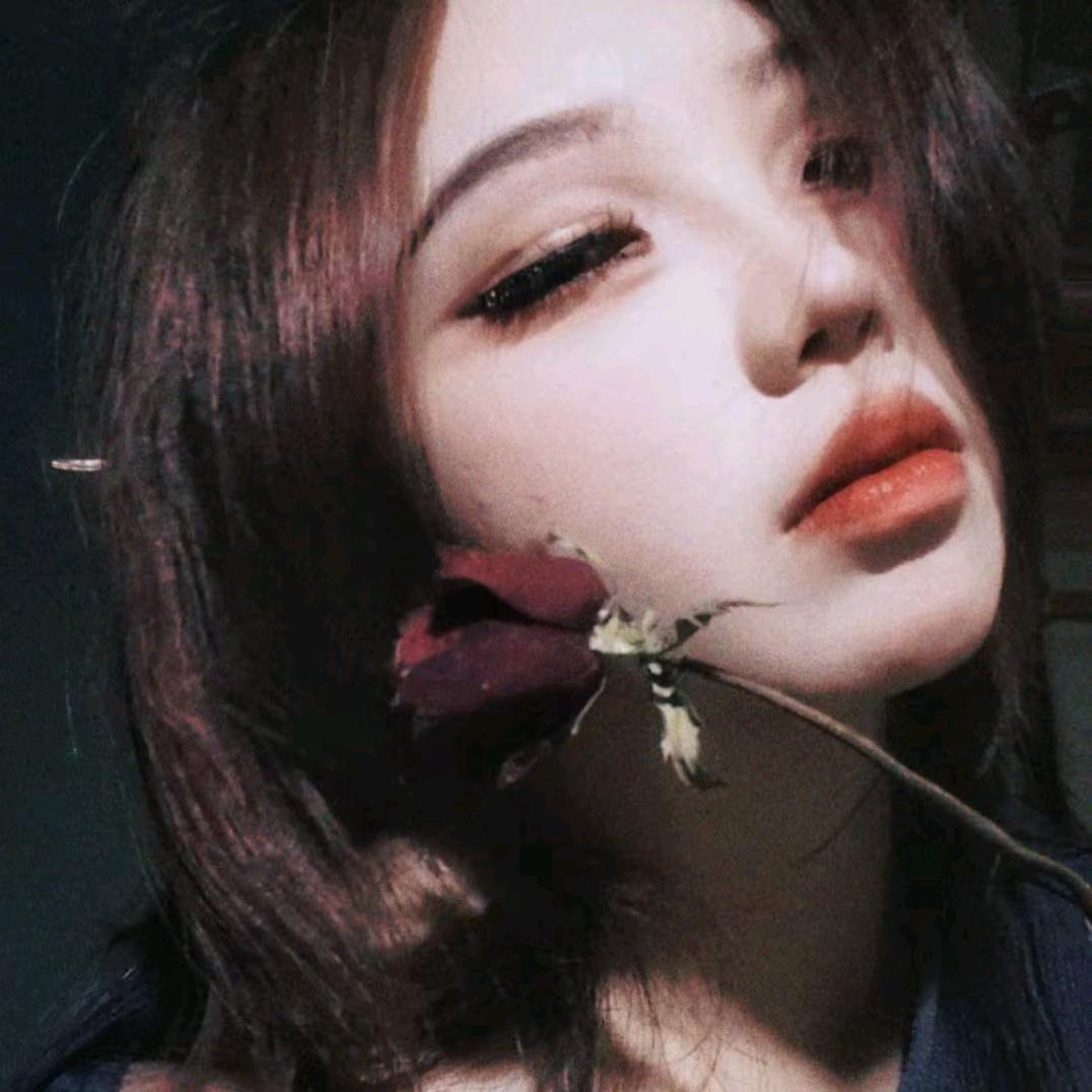 绘卷📚