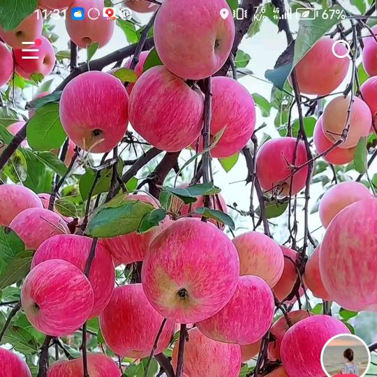 生活简单