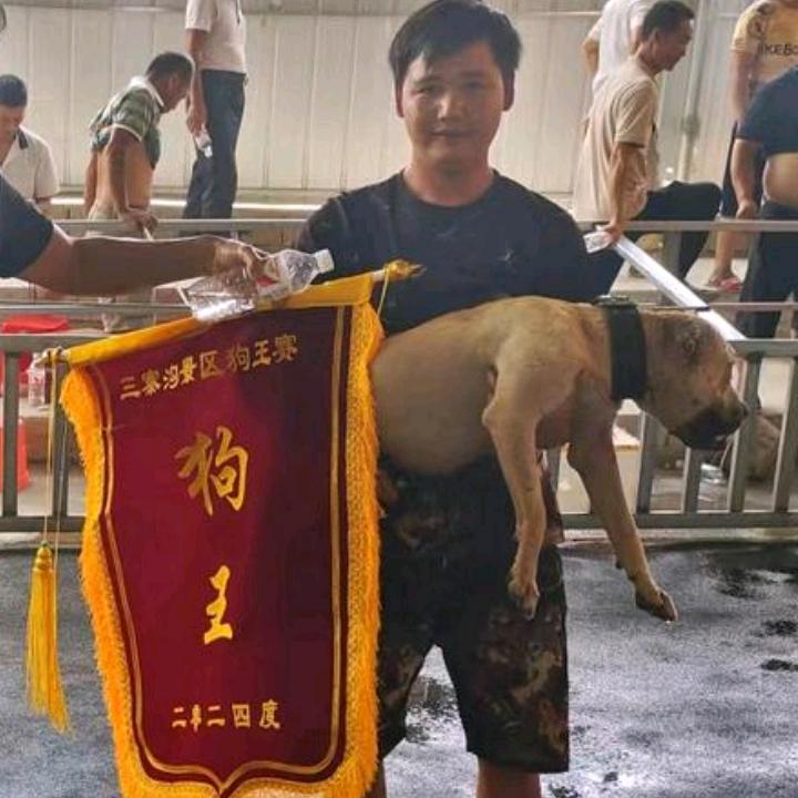 思练水库守库人