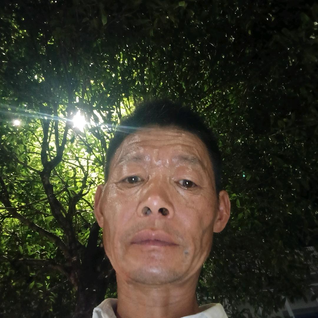 绿色蔬菜