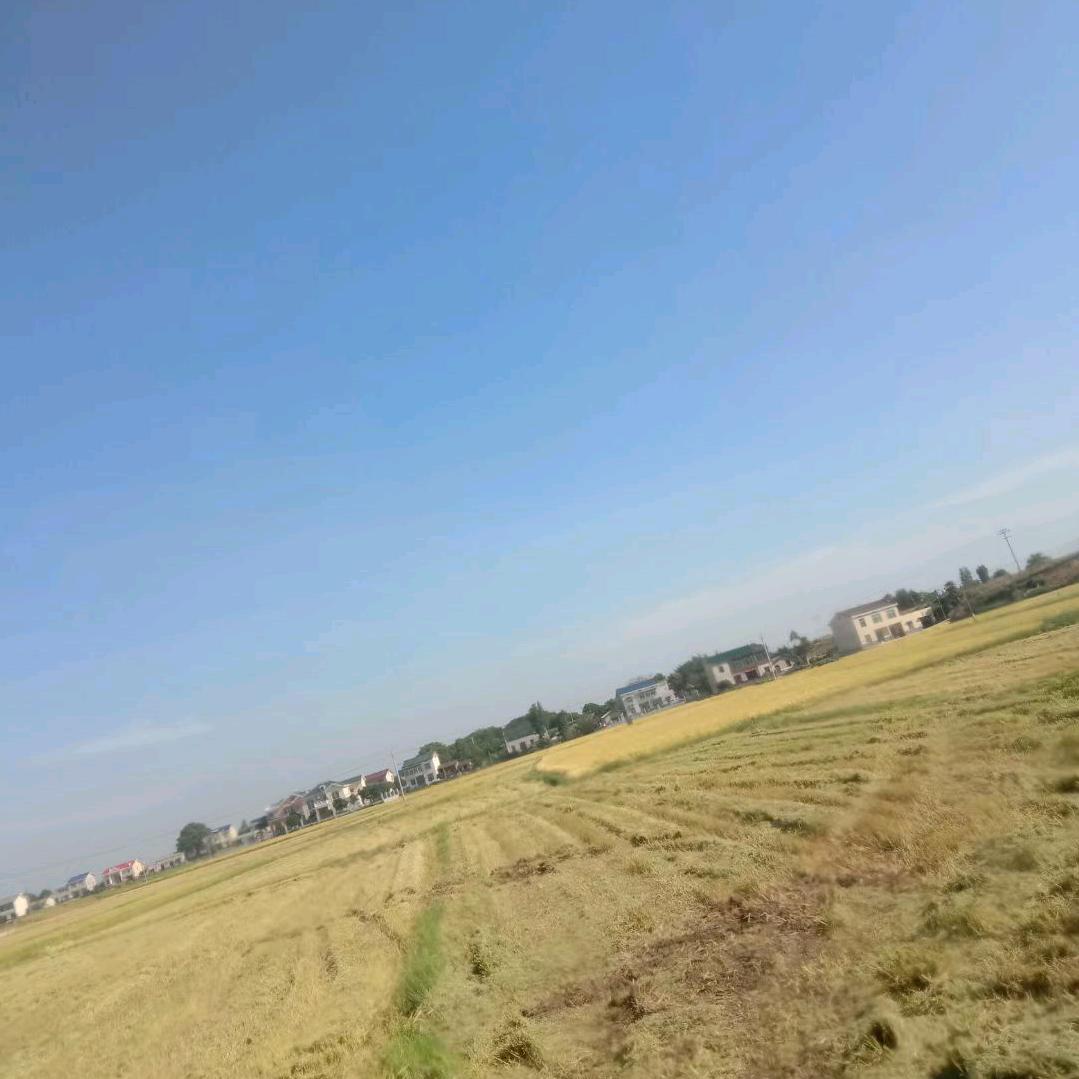 湘乡姐
