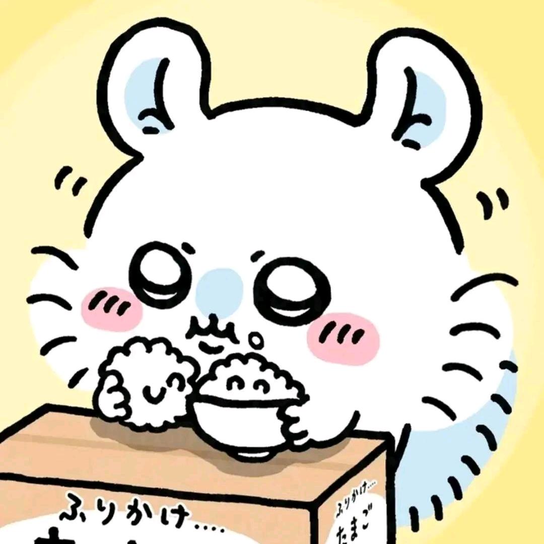 尊可鱼鱼