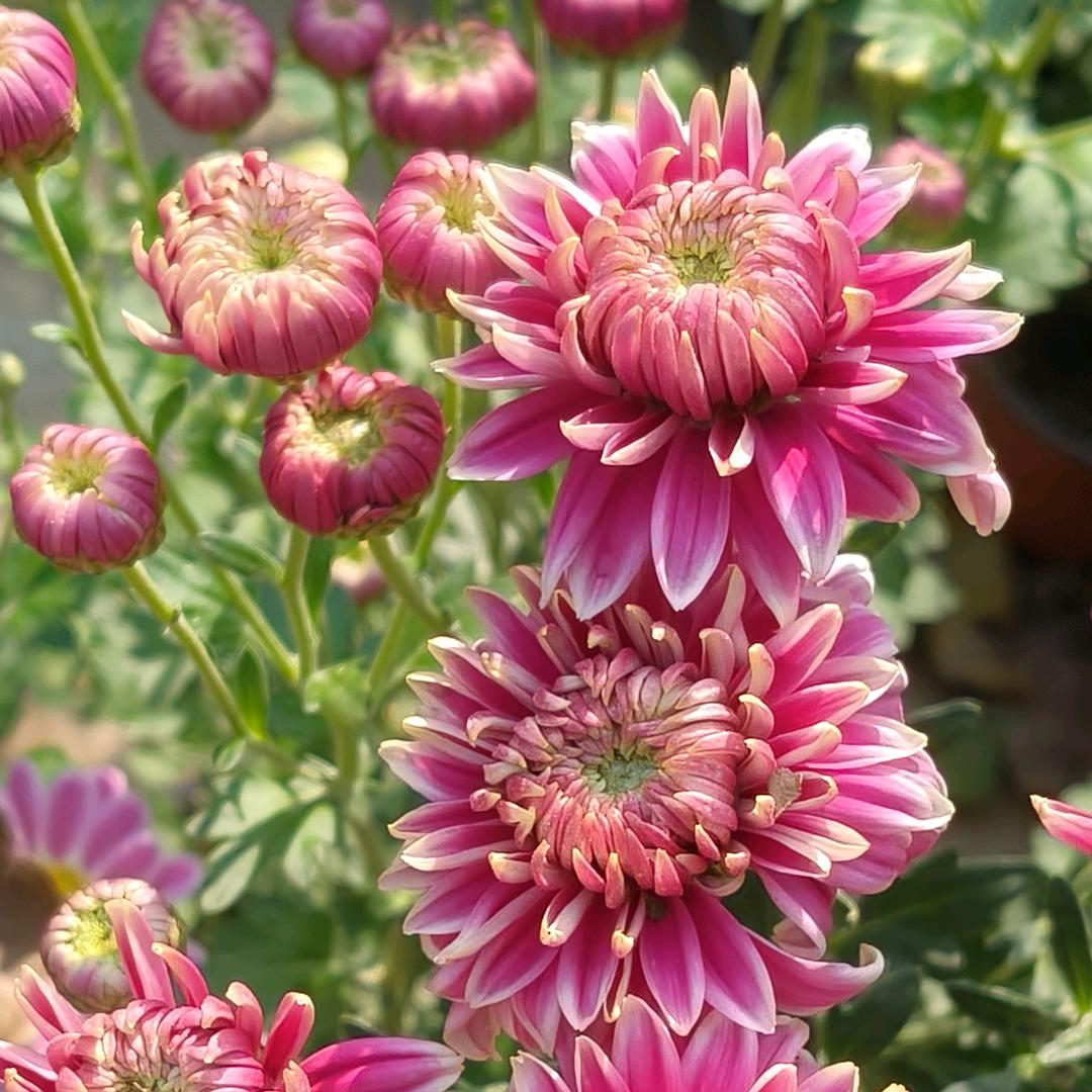 花屿时光