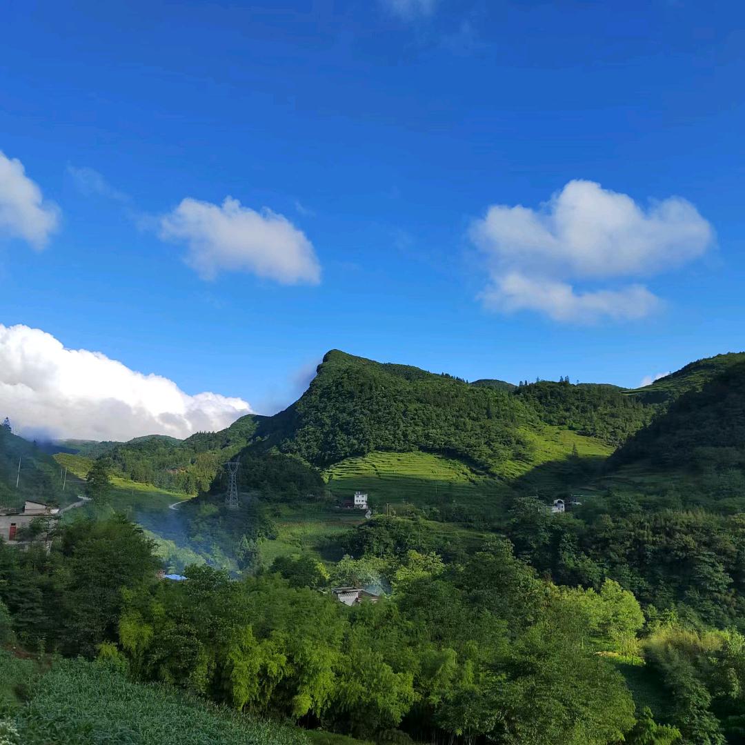 独行侠(小胖子)