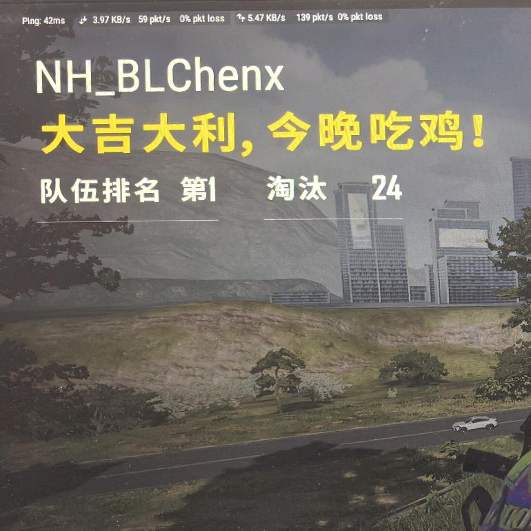 @辰子（PUBG）