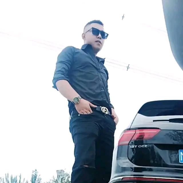 🐯《波》娃子，专业砍树房后房前