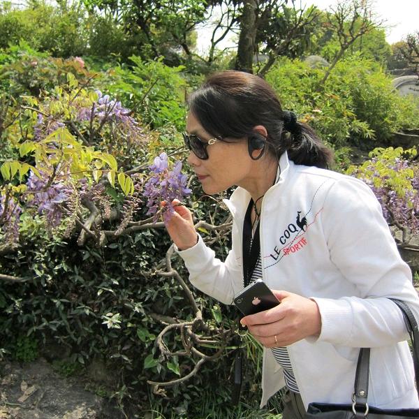 江上柳如烟