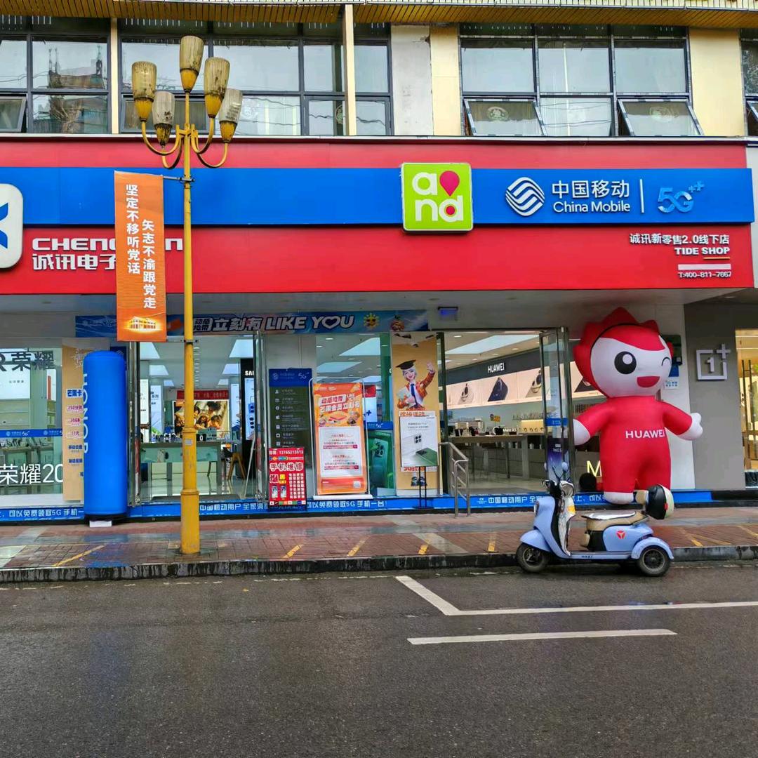 大兴路诚讯电子至尊店 王芳