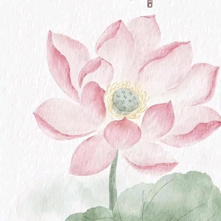熹玥