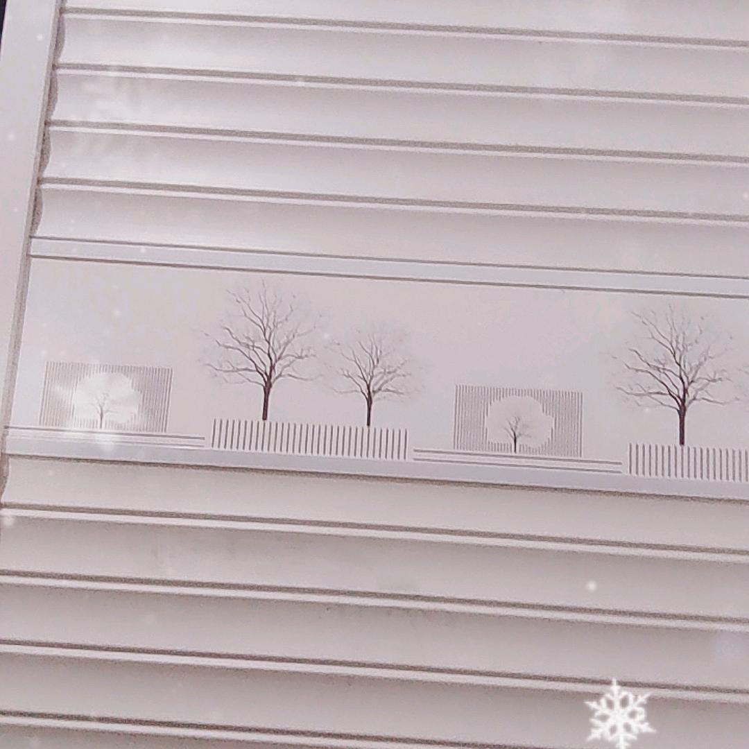 老卢家日常生活