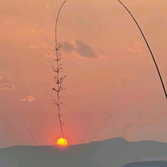 秋天