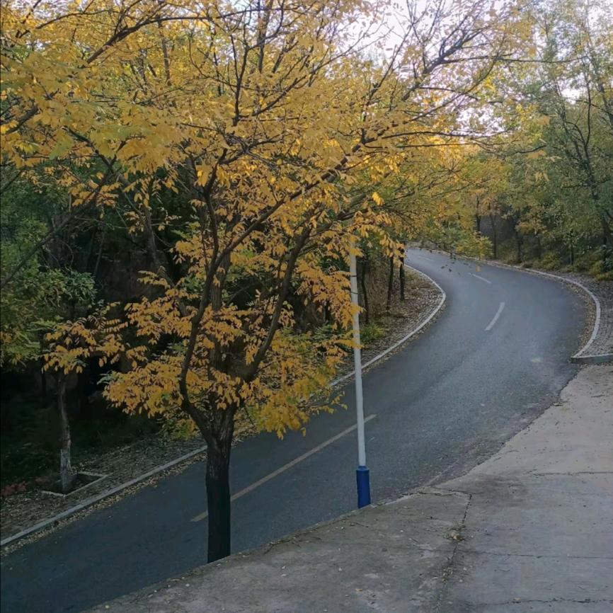 曲沃.侯马.清洗地暖.更换分水器😘😍