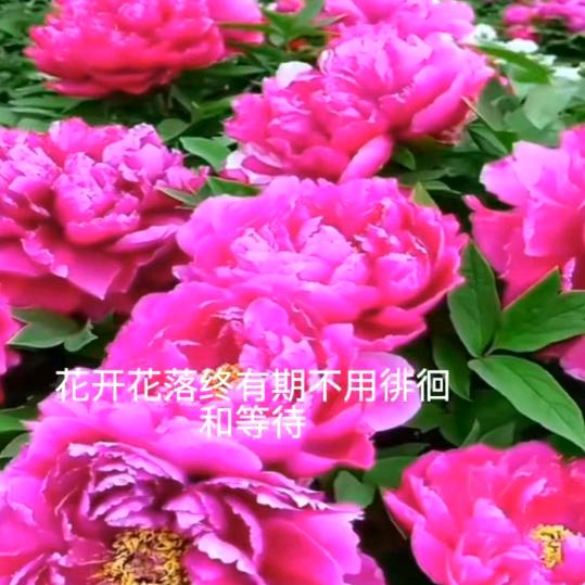 一生平安