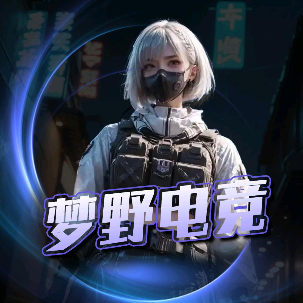 小野（三角洲行动）