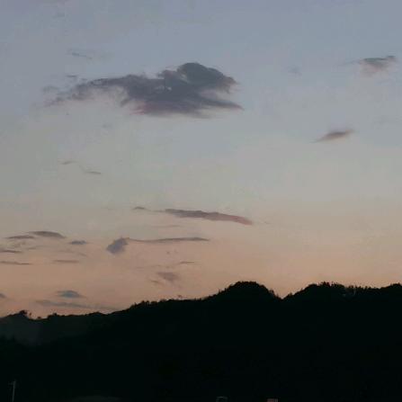 遇事 不慌张 先生