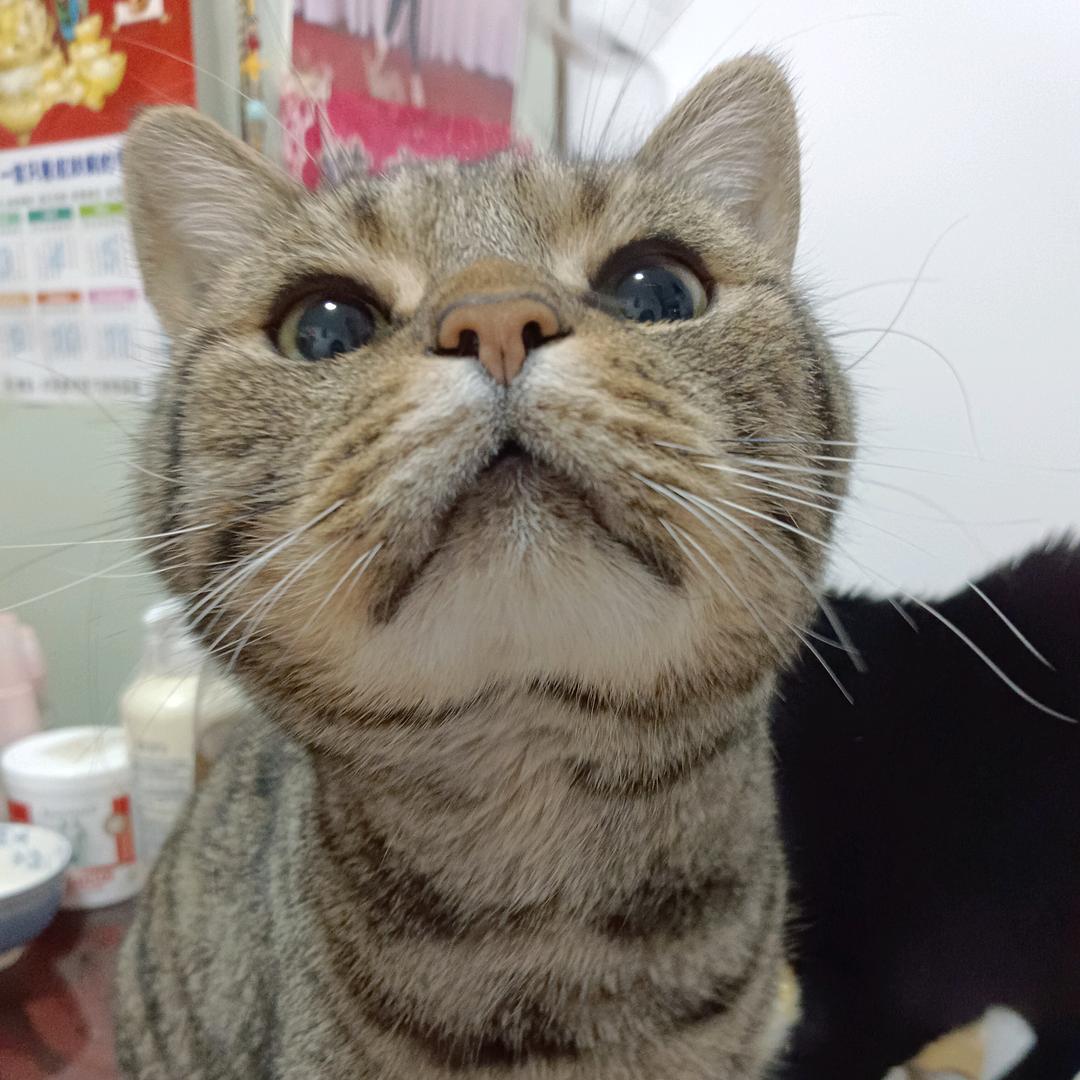 绣绣吉祥如意