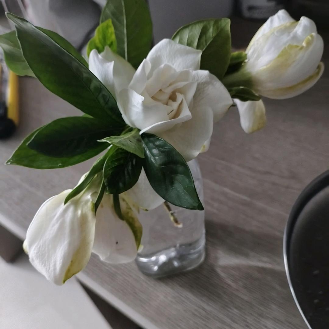 因为( 在你身旁 ）