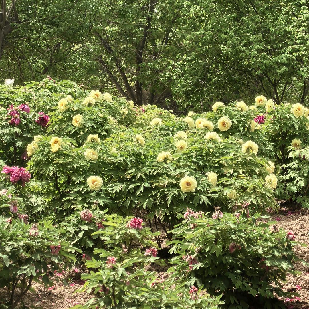 管他三七二十一