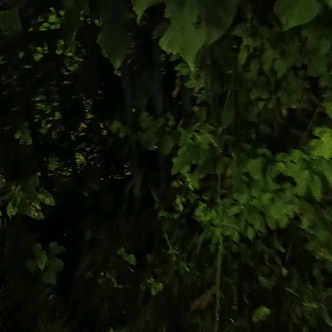 🙂