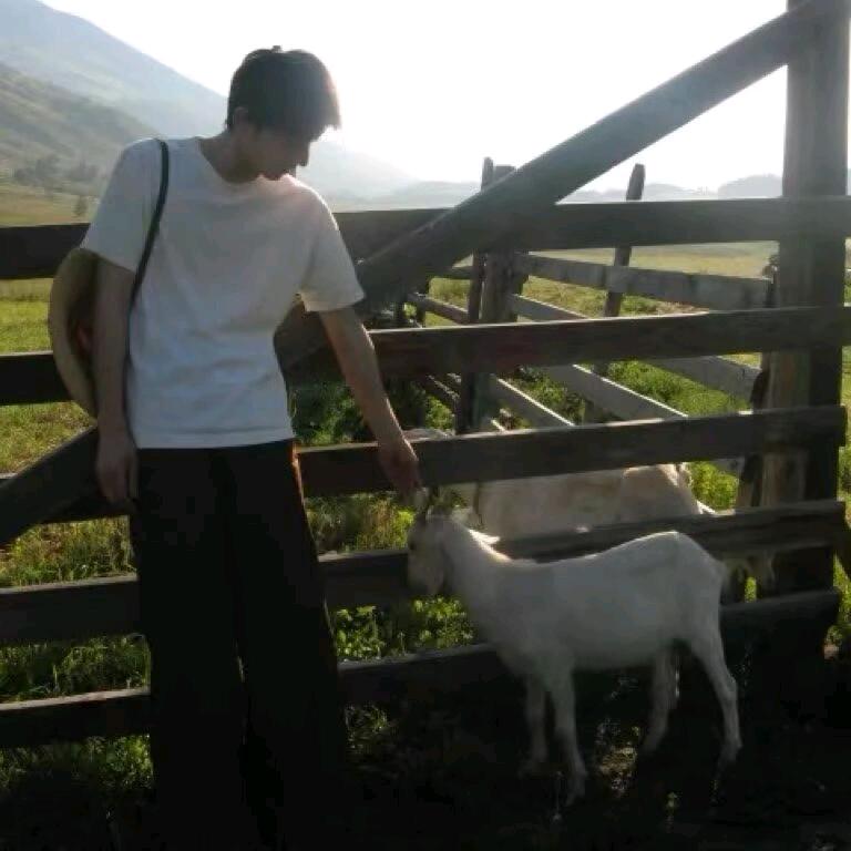 我假装过去不重要