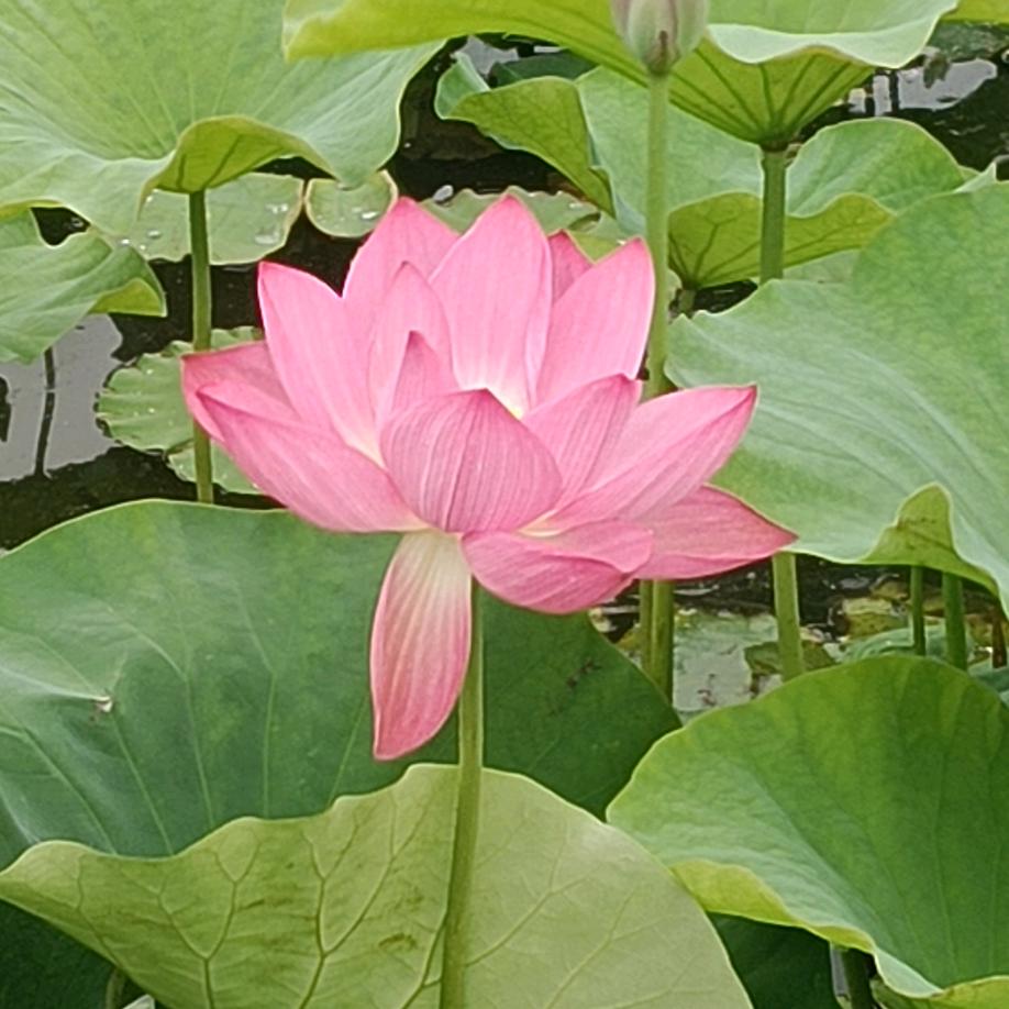 往事👨‍🦯随风🌪️