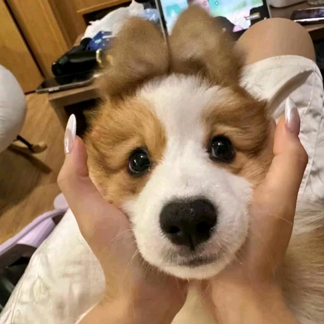 YOU↯