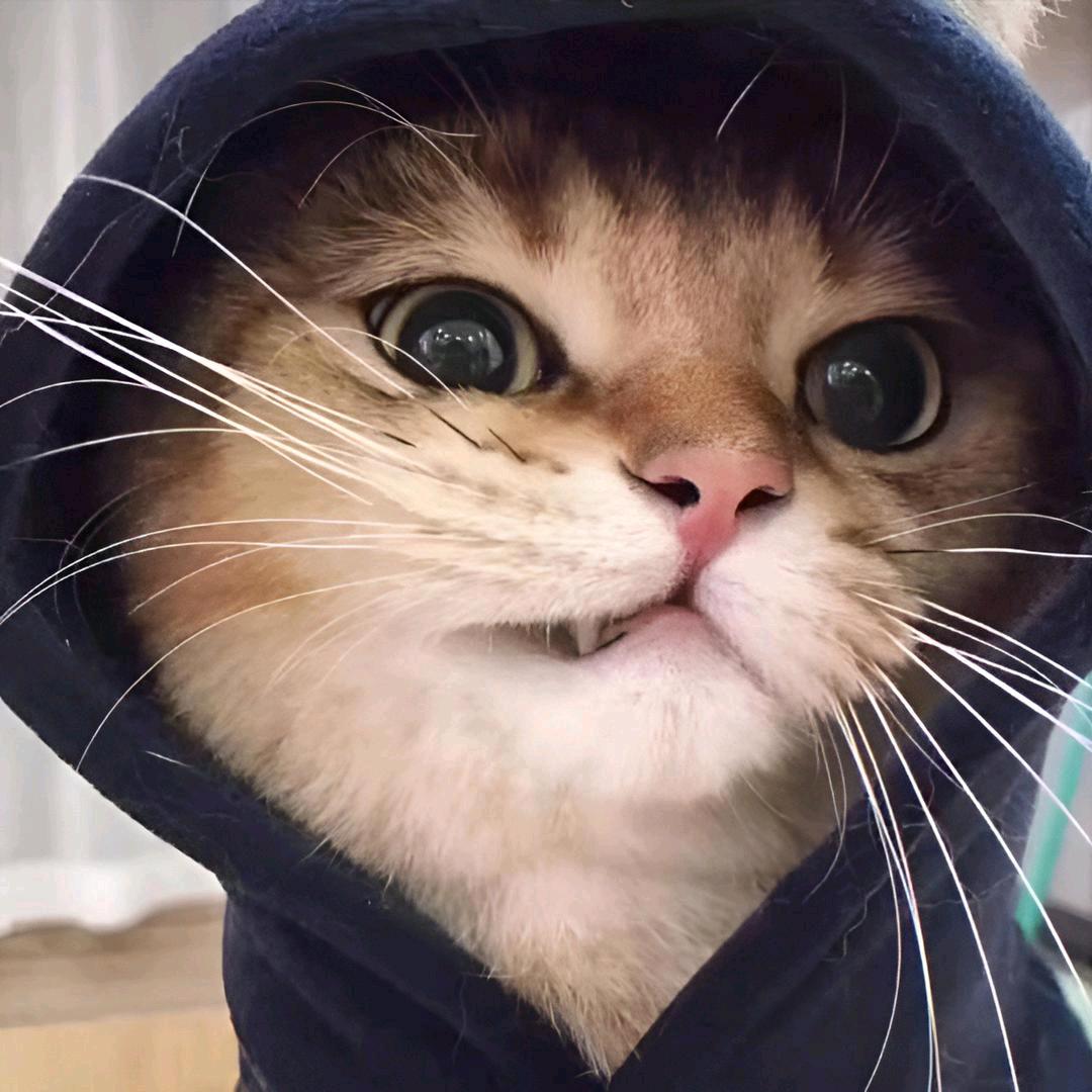 我叫ℳ๓唐太甜