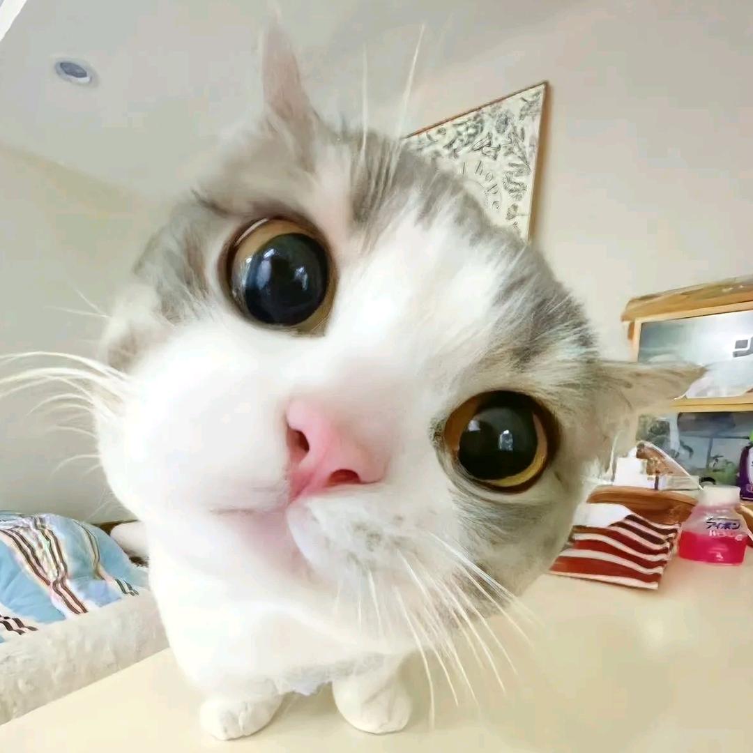 小彤的心事